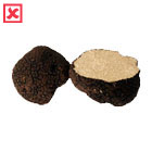 Tuber Aestivum Vitt.